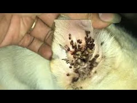 ผลสลากกินแบ่งรัฐบาล วันที่ 1 พย. 2567