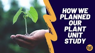 How we Planned our Plant Unit Study