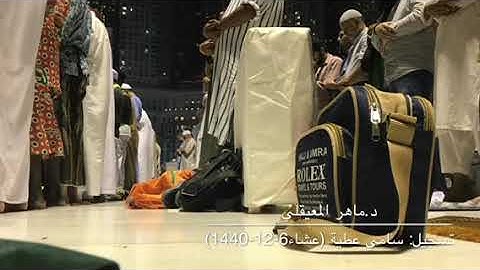 تلاوة كردية من صلاة العشاء 6-12-1440 للشيخ ماهر المعيقلي