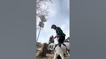 Doesn’t do the skill, then does it successfully (4 ft on)