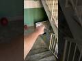 C’È IL MOSTRO DI 99 NOTTI CHE ROTOLA GIÙ DALLE SCALE!! #shorts #roblox #fortnite #ps5 #horror #paura