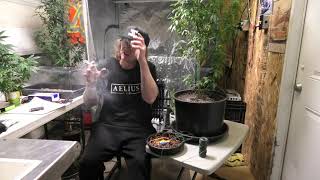High Tech Plant Bending
