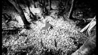 Mergana Mermor - Alternative Meeting