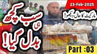 lalukhet birds market 2025 latest update  23-02-25  sunday  Part: 03 | All birds price 2025
