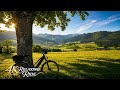 A Peaceful Bike Ride Through Rural Switzerland 🇨🇭 | POV Nature Experience 4K