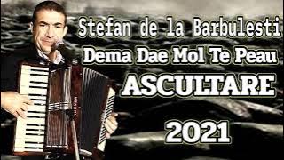 Stefan de la Barbulesti  ❌ Dema Dae Mol Te Peau 2021 (Da-mi Mama Vin Sa Beau) ❌ ASCULTARE 2021