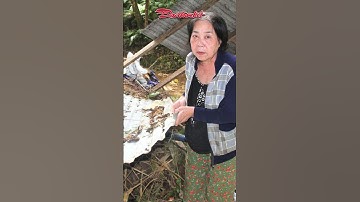 Đà Nẵng tiếp tục sạt lở nặng, khẩn cấp di dời dân