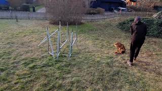 Lulu hoppteknik Set Point träning 2