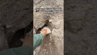 Aksarayda Bir Yer Şfet Öy Ürkiye Ğa