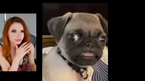 Amouranth Reacts to Funny Animal TikToks