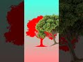 Match the mango tree with its shadow. #reels #shorts #viral #challenge