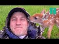 Man Saves Abandoned Baby Deer