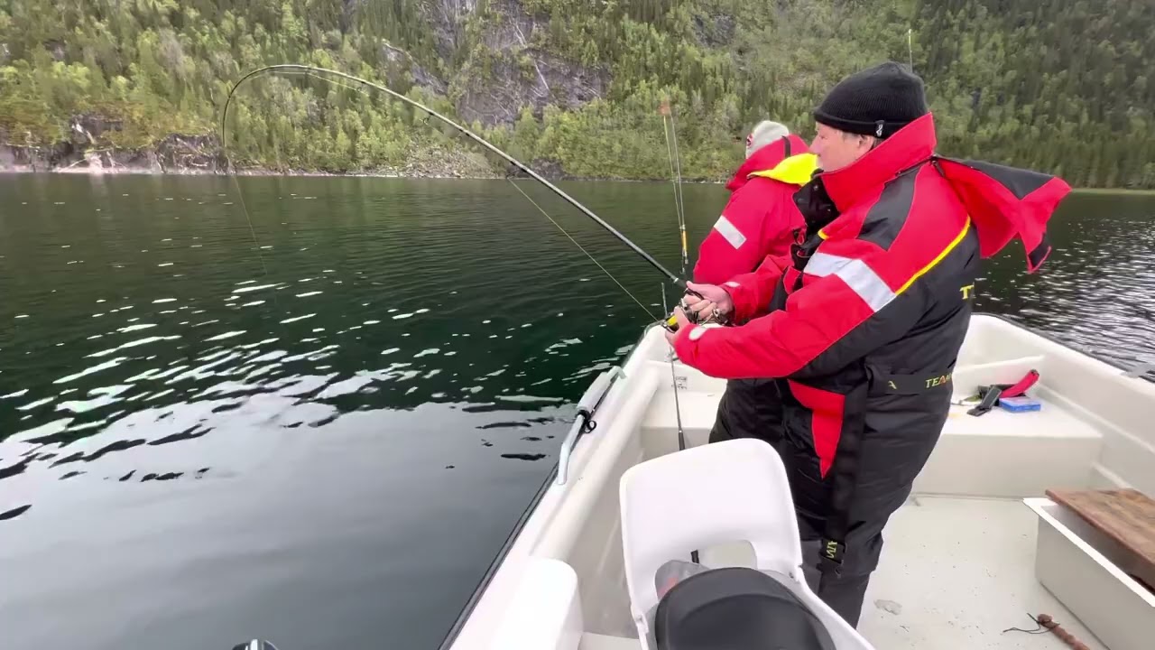Norwegen Velfjord - 15kg Dorsch🎣 - Königsfang