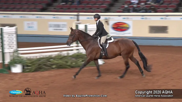 2020 AQHA Amateur Equitation Over Fences