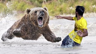 Big Bear Attack Climber On River Grizzly Bear Attack Man Fun Made