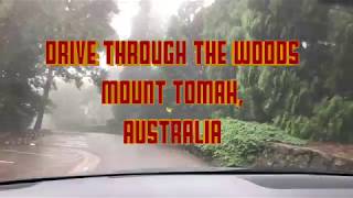 Relaxing Car Drive Through The Woods - Mount Tomah, Australia