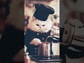 Coffee with Cat  #animation #cat #coffee #viralshort #trendingshorts #catlover #catshorts #anime