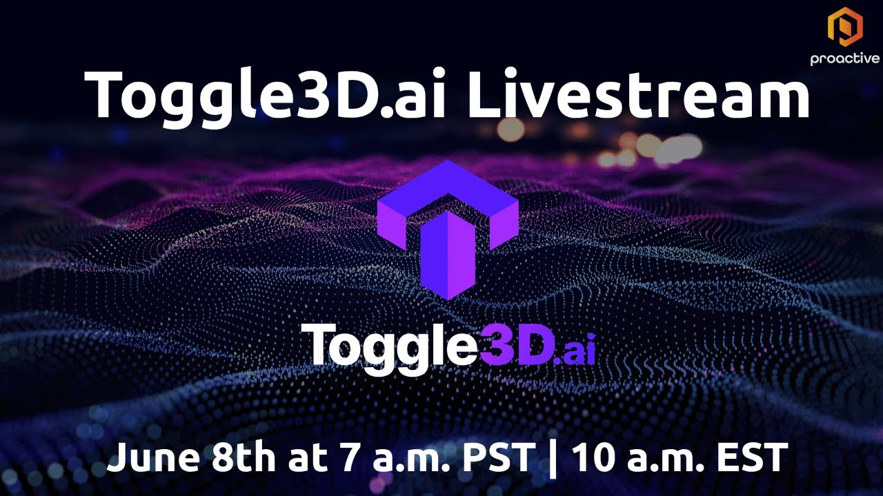 Toggle3D IPO Spin-Out & Presentation