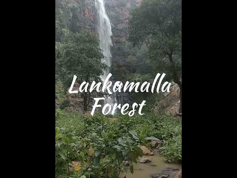 Top 5 must visit PLACES near kadapa