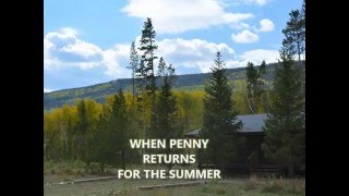 Colorado Cabin in the Pines