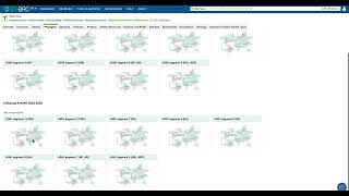 BV BRC Influenza Phylogeny