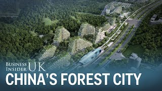 China wants to build a 'forest city' to tackle air pollution