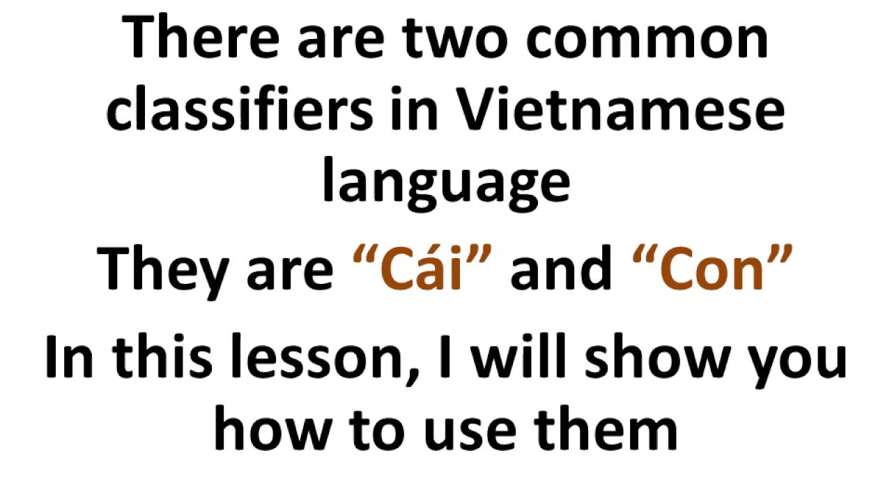Learn Vietnamese How to use Cái and Con classifiers YouTube