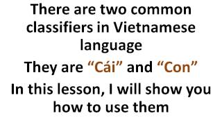 Learn Vietnamese: How to use Cái and Con classifiers