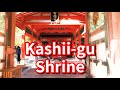 4k walk in kashiigu  beautiful vermilion shrinejapanese shinto shrine tour 5