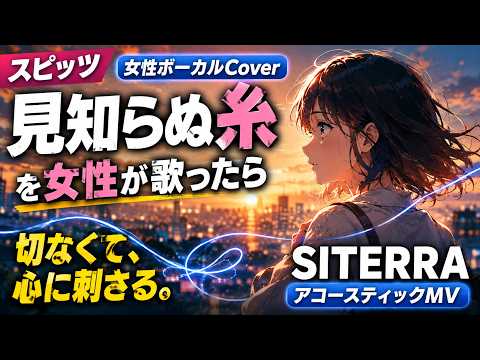 スピッツ「見知らぬ糸」架空女性ボーカルCover｜SITERRA アコースティックMV