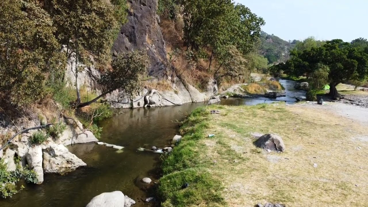 Bosque La Primavera, La Hiedra