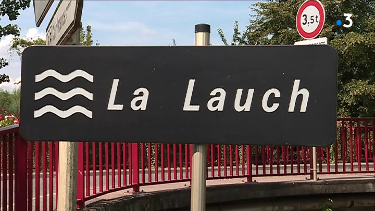 Pêche de sauvetage sur la Lauch à Herrlisheim-près-Colmar par la fédération de pêche du Haut-Rhin