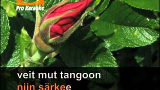 Miniatura de vídeo de "Magnum Karaoke 1504-Musta tango"
