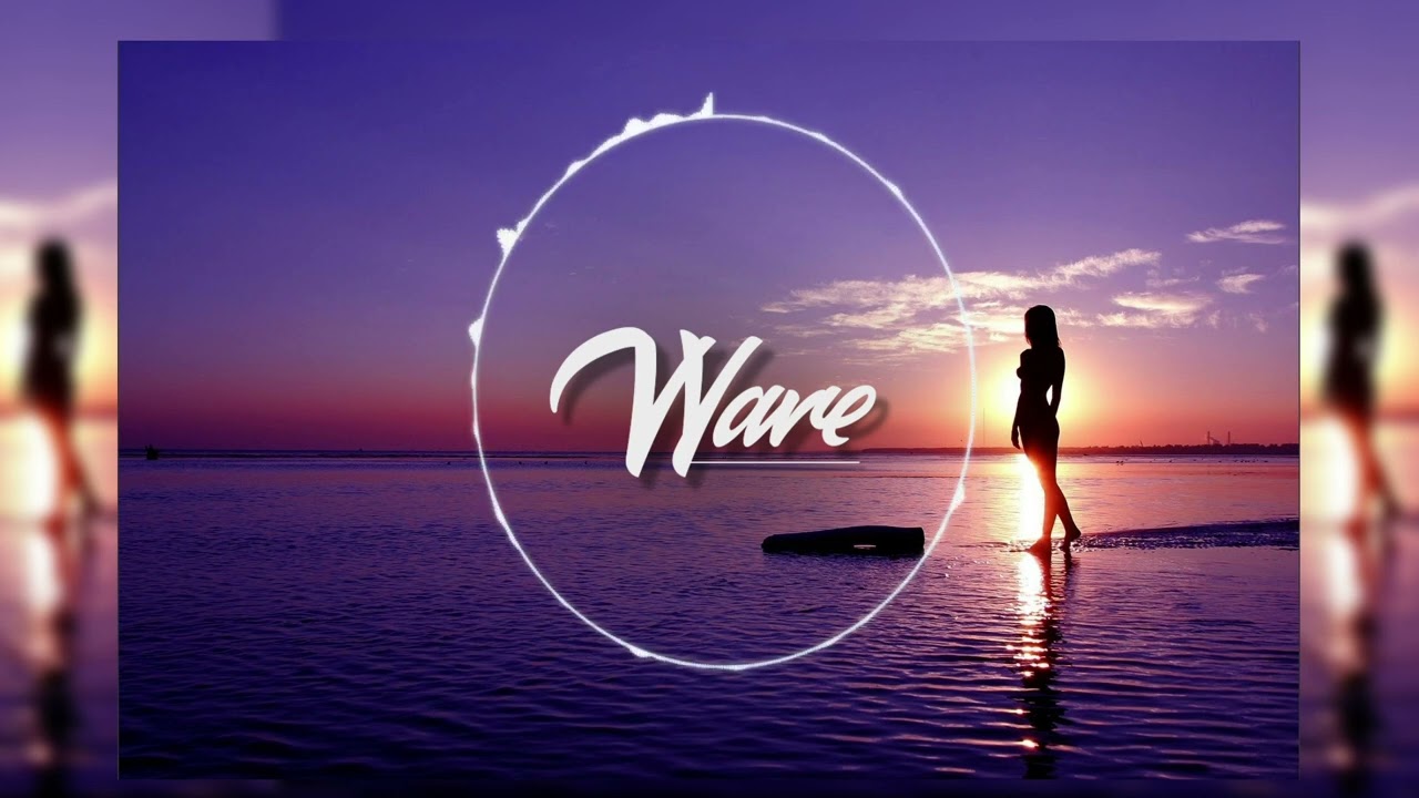 Matoma x Sigal Pop Type Beat -Wave