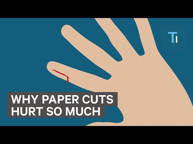 Why Paper Cuts Hurts So Much 