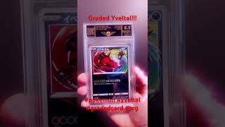 Graded Yveltal!!! #pokemon #yveltal #gradedcards #tcg