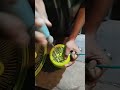 Live highlight