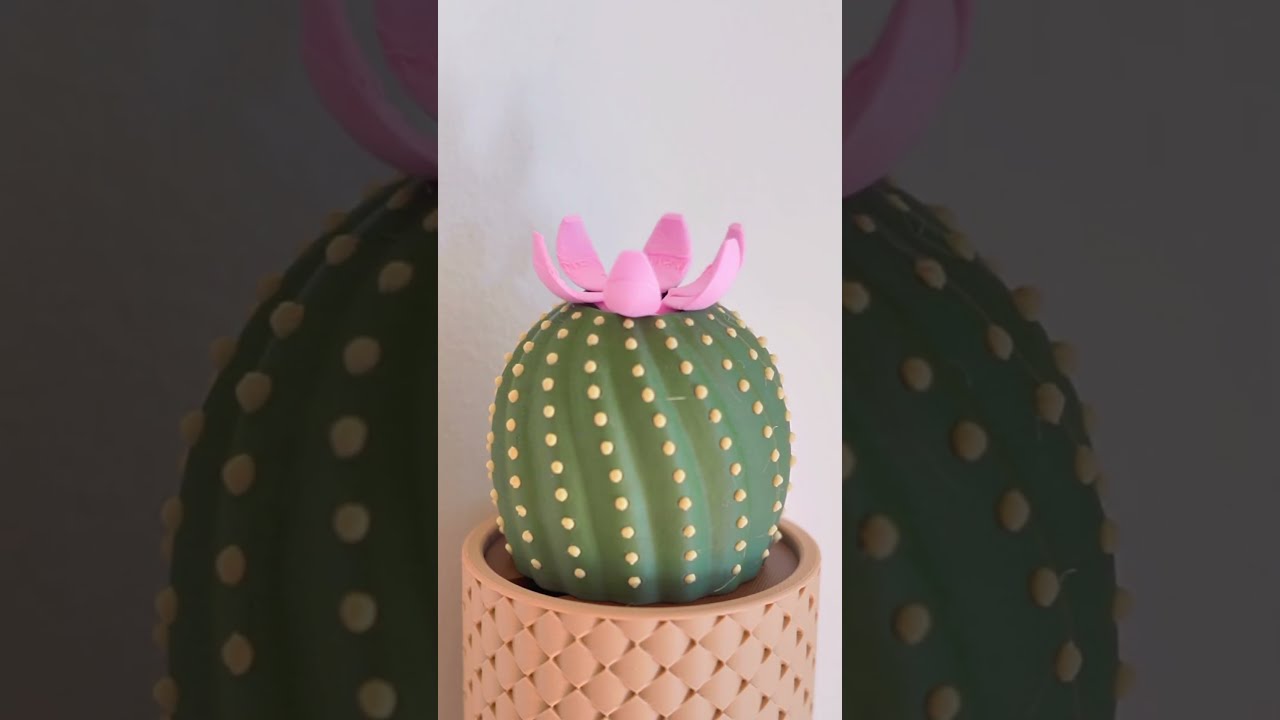 A Cactus That Is Happy To See You Pt 2