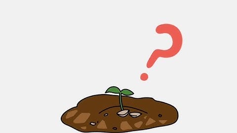 brain out 2 level 3 How to make crops grow?