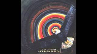 Watch Sidekicks Daisy video