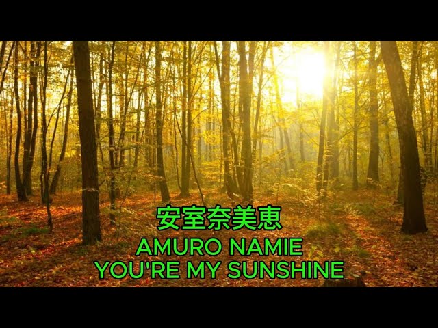YOU'RE MY SUNSHINE – 安室奈美恵【カバー】｜Amuro Namie – You're My