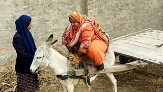 Desi Kudi Ki Anokhi Donkey Cart Riding|Pakistani Village Life