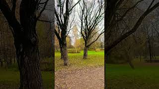 #рекомендации #природа #красотадуши #лайкнименя #https://ya.cc/7sZWxh #подпишисьнаменя #добро