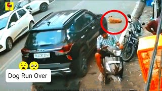 Viral video:- Dog hit by car 😧 || dog accident