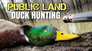 5 Keys To PUBLIC LAND Duck Hunting  Duck Hunting Tips