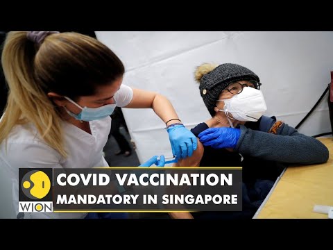 COVID-19 vaccination mandatory in Singapore for pass approvals from February 2022| WION English News