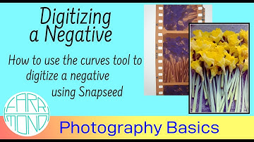Digitizing a negative image using the free Snapseed app