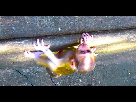 To be good at примеры предложений. I am good at примеры. Be good at перевод. Adjective comparative superlative таблица. To be good at примеры предложений.