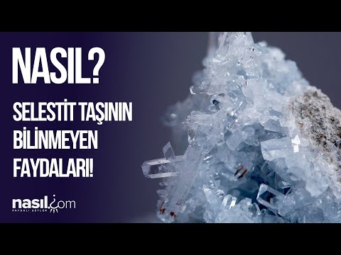 Video: Selestit nədən ibarətdir?