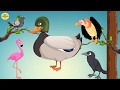 Թռչուններ / trchunner / птицы / birds / հեքիաթ / сказкa / fairy tales /Armenian cartoon /